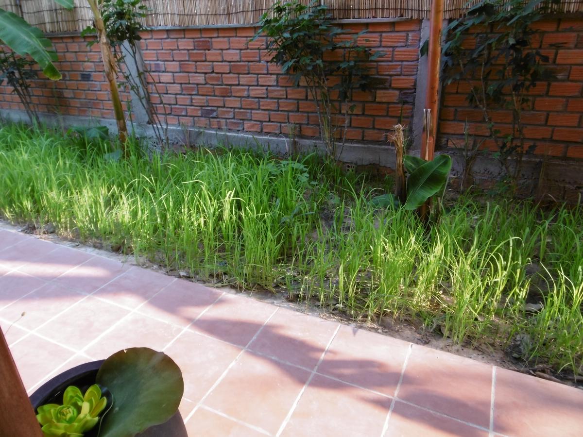 Andre Boutique Villa Σιέμ Ρέαπ Εξωτερικό φωτογραφία